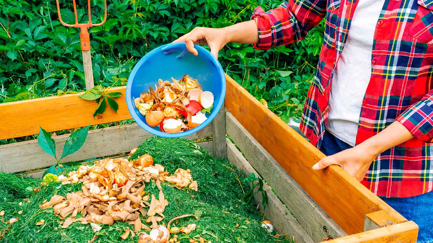 ¿Qué Es El Composting, Cómo Hacerlo Y Para Qué Sirve?